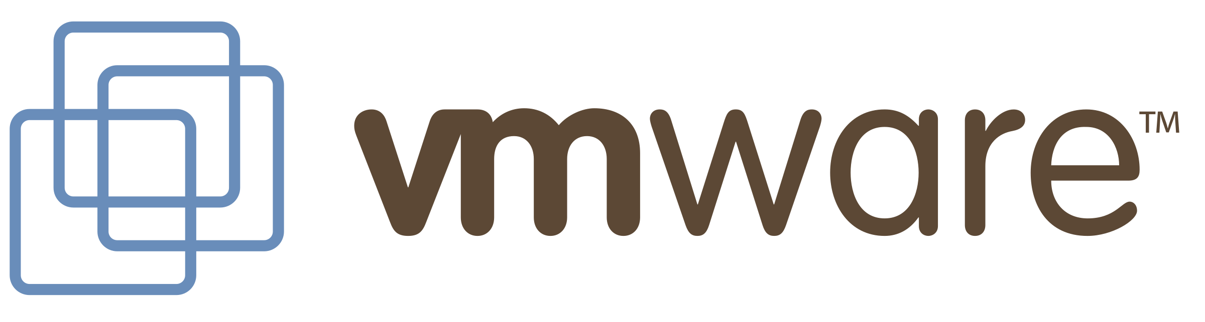Logo VM
